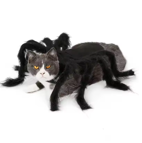 Disfraz de araña Halloween para Mascotas