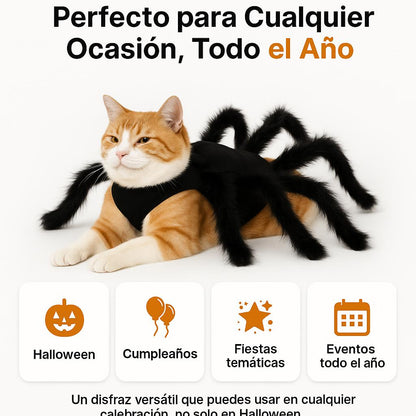 Disfraz de araña Halloween para Mascotas