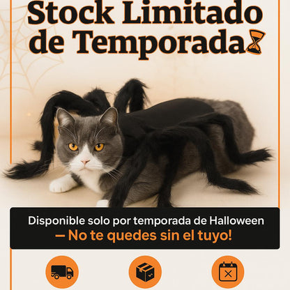 Disfraz de araña Halloween para Mascotas